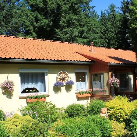 Hintze Villa Soltau Exteriör bild