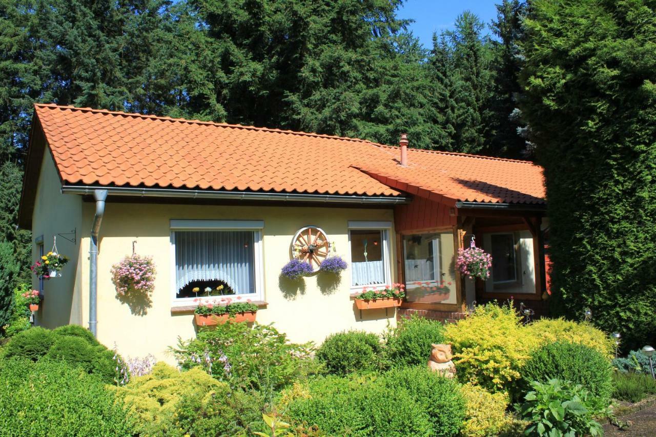 Hintze Villa Soltau Exteriör bild