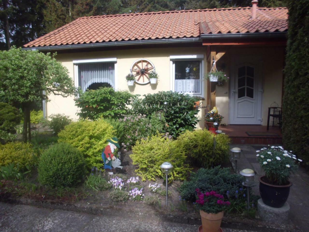 Hintze Villa Soltau Exteriör bild